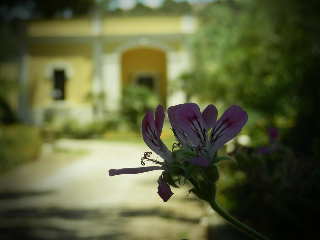 Hotel Dimora Relais Excelsa Gallipoli Exteriér fotografie